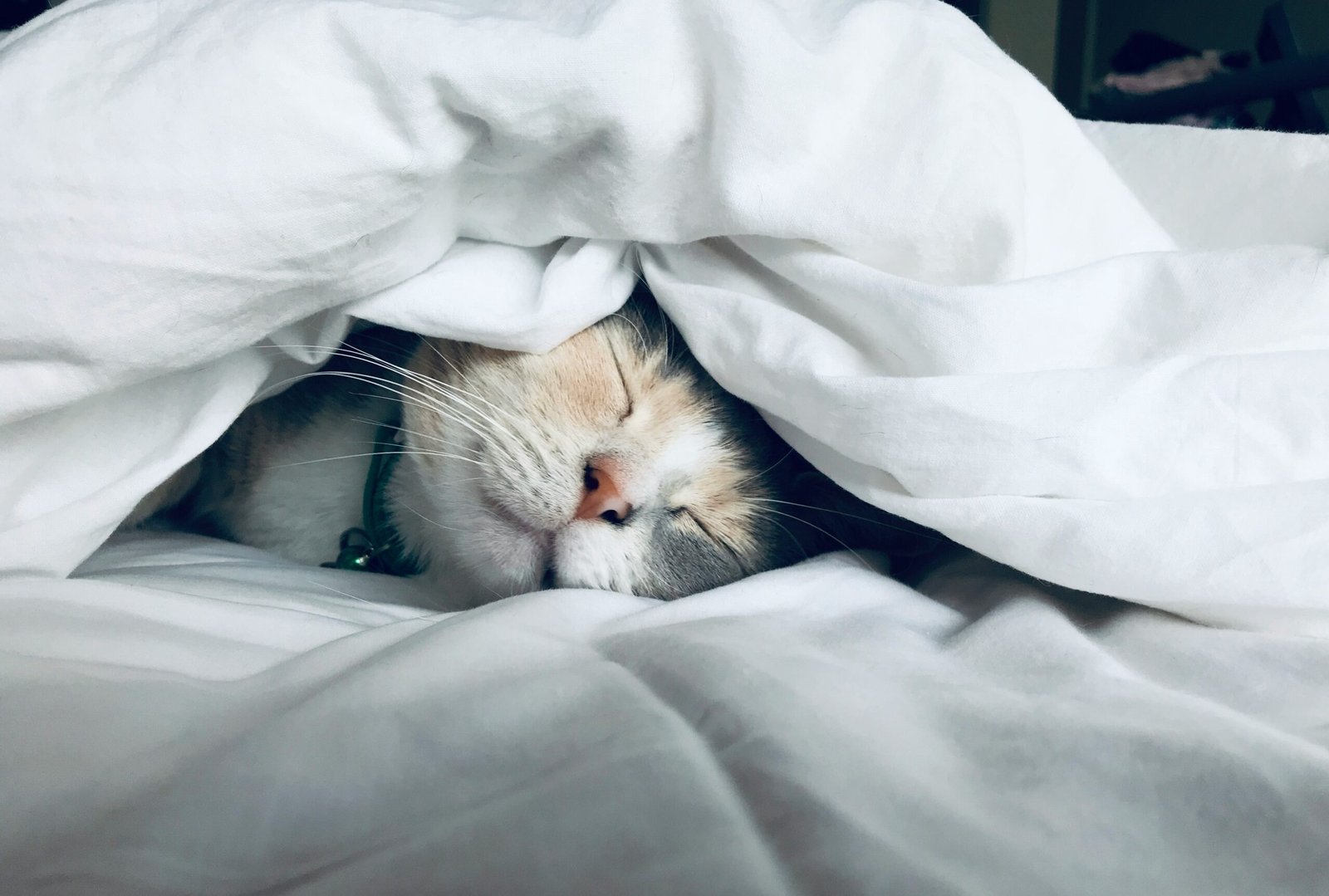 The Importance of Adequate Sleep for Overall Health and Well-being